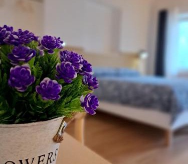 Soriso Bed & Breakfast | B&B Il Cortile