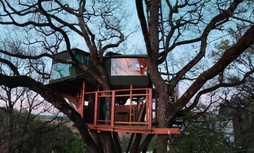 Mones Bed & Breakfast | B&B La Cabane Insolite