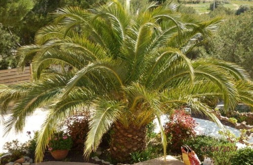 Ollioules Villa | Bay view villa Sanary 180