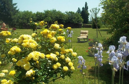 Eaux-Puiseaux Bed & Breakfast | Bed and Breakfast 'Chambre Sauge' with Shared Terrace, Shared Garden and Wi-Fi
