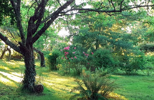 Saint-Martin-d'Armagnac Bed & Breakfast | Bed and breakfast in the countryside