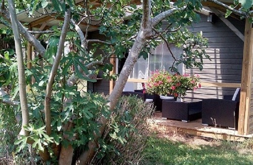 Saubion House | BRIGHT HOUSE, Pets allowed, near SEA, FOREST AND BIKE ROUTES