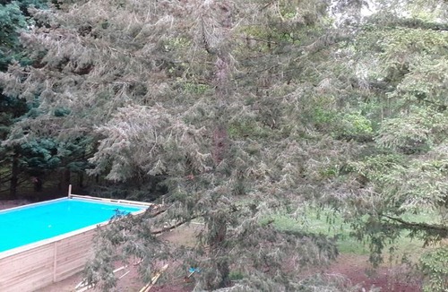 Chitenay Bed & Breakfast | Bulle des châteaux avec piscine