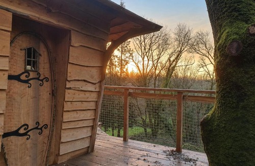 Irvillac Other | Cabane dans les arbres d'Ineas