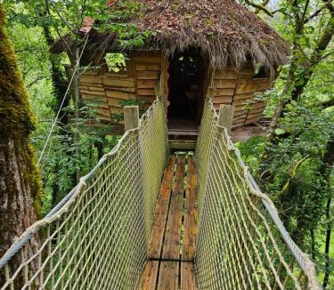Mechmont Other | Cabane Dans Les Arbres - Les Lutins