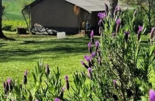Margouet-Meymes Other | Camping d'artagnan