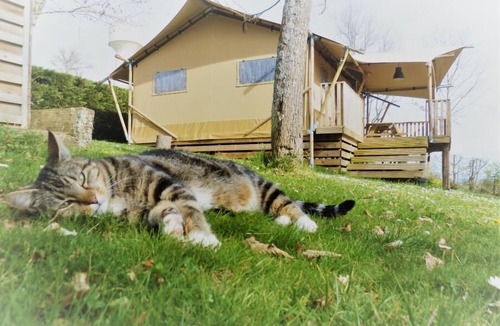 Cassagnabere-Tournas House | Camping Pré Fixe **** - Classic Prospector Tent 3 Rooms 4 People