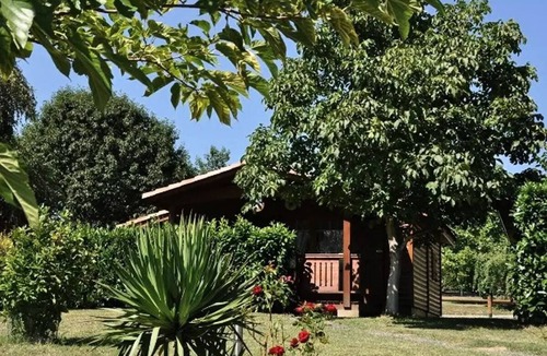 Montrejeau Ski Chalet | Campsite Midi Pyrenees * - Chalet 3 bedrooms 6 people