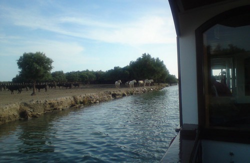 Rochefort-du-Gard Apartment | Central Provence 15mn Pont du Gard Avignon swimming canoe near Sea Mountain