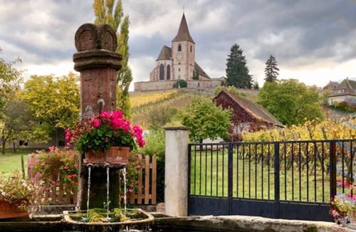 Saint-Pierre-Bois Apartment | Centre Alsace Apartment 85 m2 2-5 persons