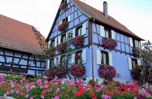 Saint-Pierre-Bois Apartment | Centre Alsace Apartment 85 m2 2-5 persons