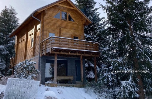 Anould Ski Chalet | Chalet à la Montagne à 15mn de Gérardmer, Terrain Privatif, Terrasses