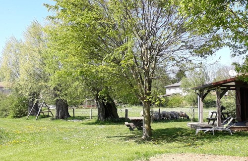 Chateau-Voue House | Chalet au bord d'un étang, près d'une ferme pédagogique