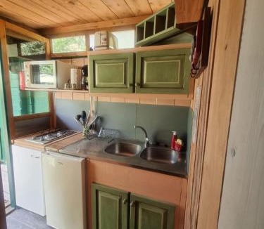 Bagnols-en-Foret Ski Chalet | Chalet avec piscine privée dans la forêt