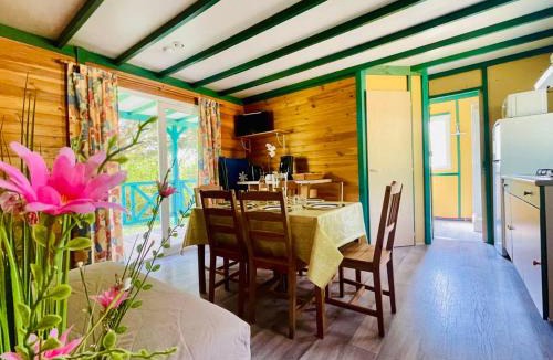 Camon Other | Chalet climatisé, animaux acceptés - 6 pers. - API-1-52-2547