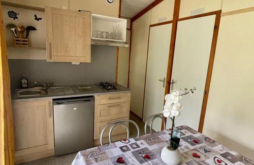 Camon Other | Chalet de 26m² avec Terrasse pour 4 Personnes - API-1-52-1070