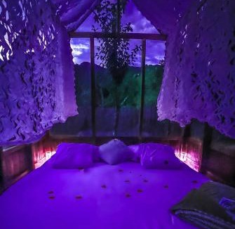 Lantosque Other | Chalet en verre sous une pluie étoilée
