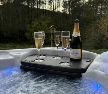 Ban-sur-Meurthe-Clefcy Ski Chalet | Chalet Sequoia - Spa et Sauna