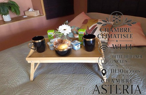 Vinneuf Bed & Breakfast | Chambre Astéria -Climatisée- Entrée Privée - Petit dejeuner inclus