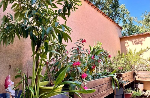 Dorlisheim House | Chambre avec terrasse - Entre Strasbourg & Obernai
