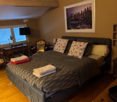 Tournefeuille House | Chambre privée dans une maison avec piscine