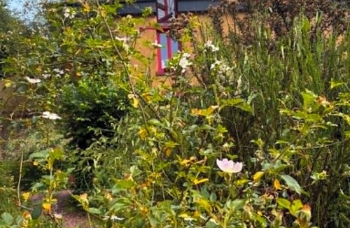 Saint-Meen-le-Grand House | Charm and Nature - Flat in mud house in Brocéliande