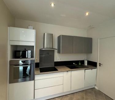 Rives de Meurthe Apartment | Charmant appartement hyper-centre de Nancy