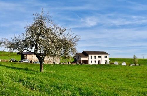 Lepanges-sur-Vologne Apartment | Charmant gîte, au calme, avec vue imprenable sur la nature environnante