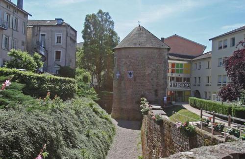 Chantraine House | Charmant Gîte avec Jardin aux Portes d'Épinal, Idéal Couples ou Séjours Pro, Proche Commerces et Nature - FR-1-589-278