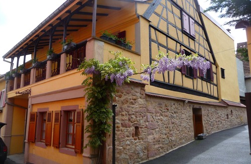 Saint-Hippolyte Apartment | Charming furnished accommodation at the foot of Haut-Koenigsbourg - Le Puits *