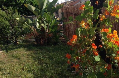 Saint-Roch House | CHARMING HOUSE WITH GARDEN. SEVERAL OUTDOOR SPACES. CALM IN THE CITY