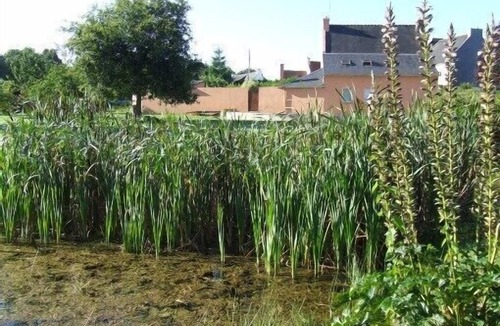 Concarneau House | Charming stone house with private pool, garden and terrace, close to the sea.