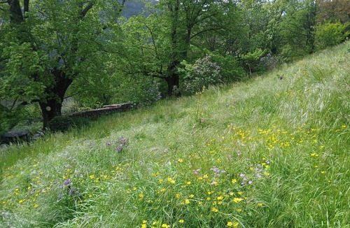 Castellane House | Château de Chasteuil: Serene Verdon Retreat for 2–9 pers. with Stunning Views