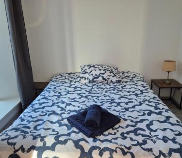 Chaumont Apartment | chaumont centre, "F1 coté jardin" , parking gratuit en face ,wifi,cafe offert
