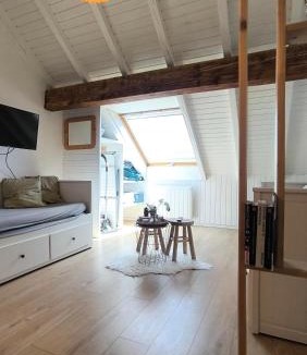 Mouthe Apartment | Coquet studio 4 personnes