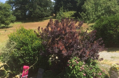 Plenee-Jugon House | cottage Breton countryside 6 to 8 places-35 minutes from beaches and many sites to visit
