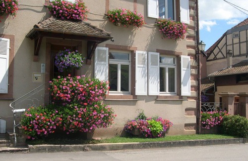 Hunawihr Apartment | Country holiday home - HUNAWIHR (Ht-Rhin)