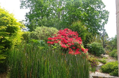Lannion House | Country house a few minutes from the sea and the pink granite coast