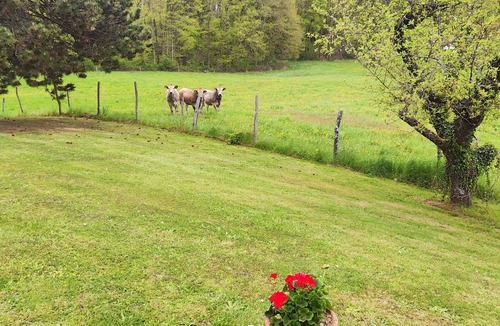 Reignier-Esery House | Country house, quiet and greenery, park 9000 M2 closed
