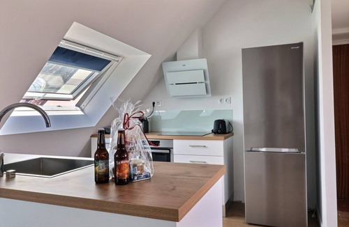 Concarneau Apartment | Cozy apartment in the city center, 2 steps from the beaches - Stove - Garage