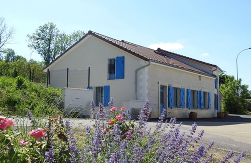 Colombey-les-deux-Eglises Cottage | Cozy Retreat with Outdoor Spa, Petanque, Spacious Garden, and Champagne Vineyard Nearby