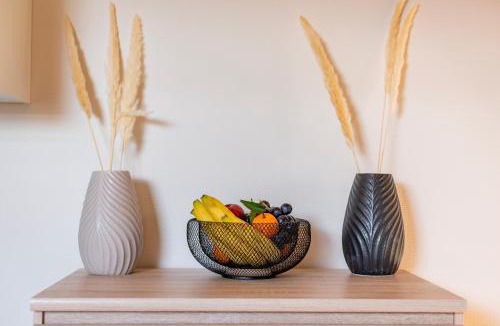 Sarrebourg Apartment | Delight - GOLDEN TREE - Clim - 20 min St-Croix & Center Parcs
