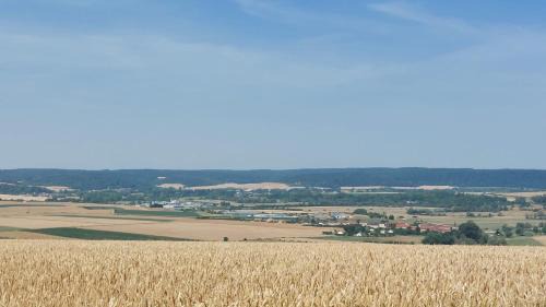 Vigneulles-les-Hattonchatel Apartment | Deux chambres Terrasse salle de sport PROCHE du LAC DE LA MADINE ET CHATEAU D'HATTONCHATEL
