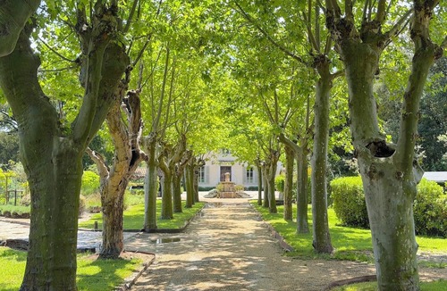 Le Thoronet Villa | Domaine D'argens