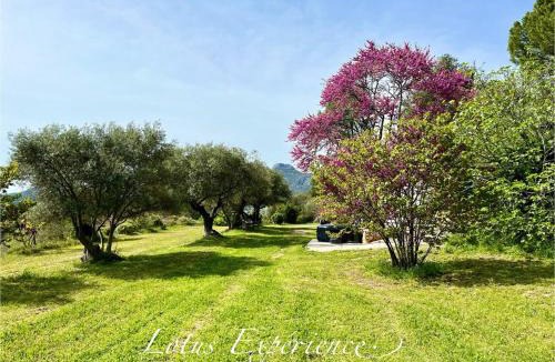 Aubagne Other | Domaine la Madeleine - Hébergement insolite