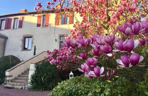 Sevremoine Bed & Breakfast | Domaine Le Jardin Suspendu Piscine et Détente à proximité du Puy duFou