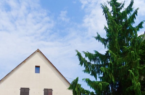 Sigolsheim Apartment | Electric bikes included in the price.