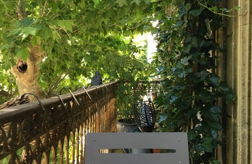 Collobrieres Apartment | Elegant and romantic HSH apartment 35 minutes from the Var's most beautiful beaches