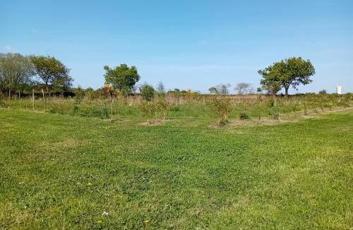 Rospez Other | Emplacement tente chez l'habitant