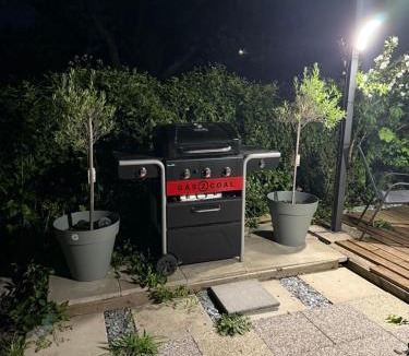 Moulins-les-Metz Apartment | Escale au jardin des rêves terrasse parking privée 8 personnes